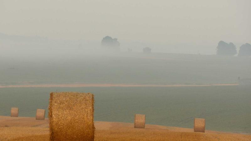 Rollputz Vs Streichputz — Kosten, Tipps und Anleitung