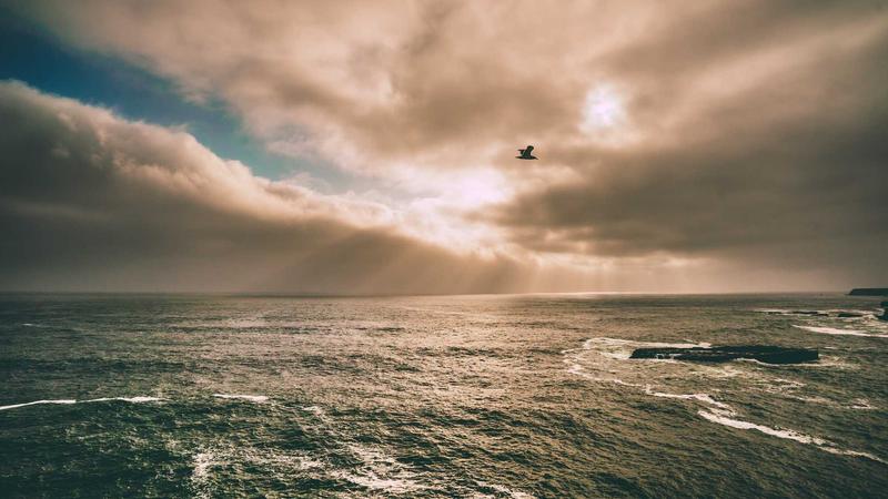 Einbaukueche Vs Modulkueche — Kosten, Tipps und Anleitung