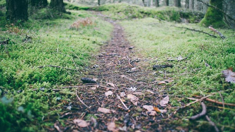 Raufaser Vs Glatte Wand — Kosten, Tipps und Anleitung