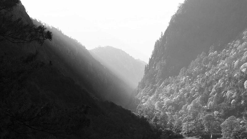 Wand Streichen Anleitung — Kosten, Tipps und Anleitung